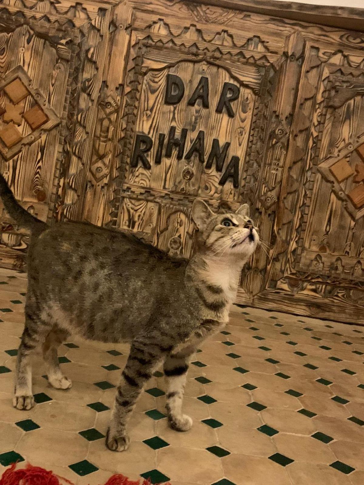 Dar Rihana Dades Aït Idaïr Bagian luar foto